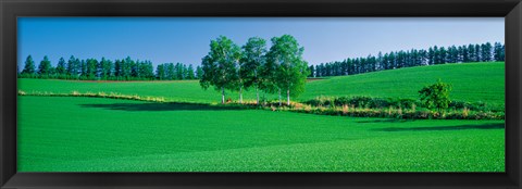 Framed Biei-Cho Hokkaido Japan Print