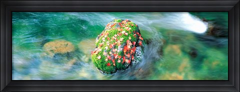 Framed Takao Kiyotaki River Kyoto Japan Print