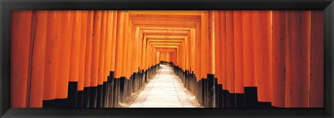 Framed Fushima-Inari Kyoto Japan Print