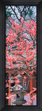 Framed Kitano-Tenmangu Kyoto Japan Print