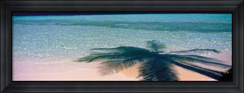 Framed Palm Tree Shadow Over the Maldives Print