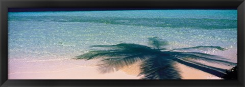 Framed Palm Tree Shadow Over the Maldives Print