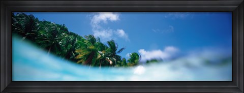 Framed Palau Island Print