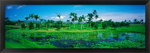 Framed Gold Coast NSW Australia Print