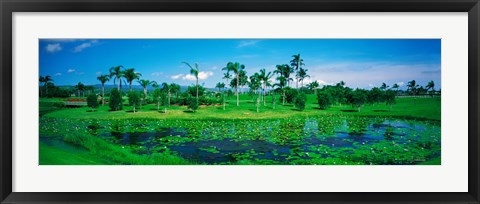 Framed Gold Coast NSW Australia Print