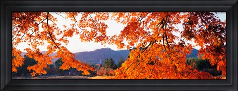 Framed Sagano Daikaku-Ji Ousawa-No-Ike Kyoto Japan Print