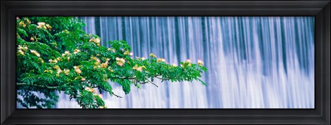 Framed Kamo River Kyoto Japan Print