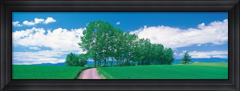 Framed Dirt Road through Fields, Biei-Cho Hokkaido Japan Print