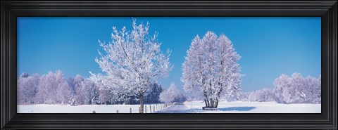 Framed Winter scenic Germany Print