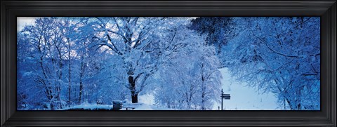 Framed Snow Covered Trees, Ramsau Germany Print