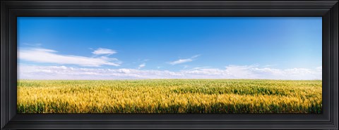 Framed Farm field Twin Falls ID USA Print