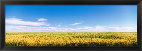 Framed Farm field Twin Falls ID USA Print