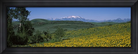 Framed Fields Humboldt National Forest NV USA Print
