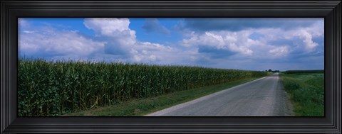 Framed Road along corn fields, Christian County, Illinois, USA Print