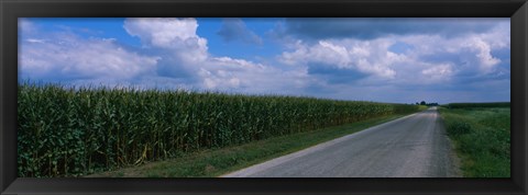 Framed Road along corn fields, Christian County, Illinois, USA Print