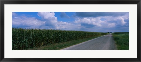 Framed Road along corn fields, Christian County, Illinois, USA Print