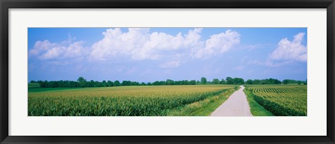 Framed Road along corn fields, Jo Daviess County, Illinois, USA Print