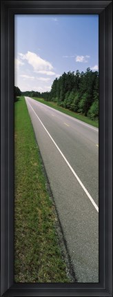Framed Trees along the road, Alabama State Route 113, Alabama, USA Print