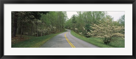 Framed Road passing through a landscape, Blue Ridge Parkway, Virginia, USA Print