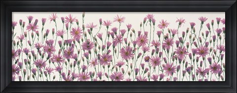 Framed China Asters Print