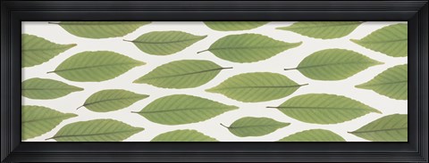 Framed Scattered leaves Print