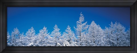 Framed Snow covered trees, Utsukushigahara Nagano Japan Print