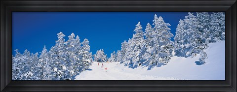 Framed Shiga Kogen Nagano Japan Print