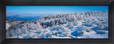 Framed Winter in Utsukushigahara Nagano Japan Print
