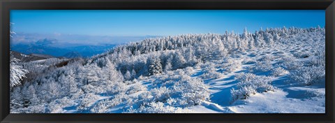 Framed Winter in Utsukushigahara Nagano Japan Print