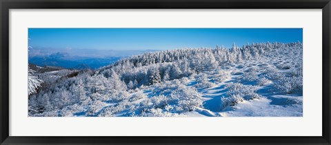 Framed Winter in Utsukushigahara Nagano Japan Print