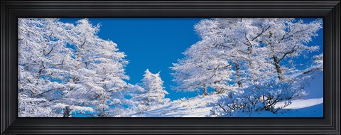 Framed Utsukushigahara Nagano Japan Print