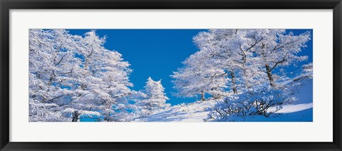 Framed Utsukushigahara Nagano Japan Print