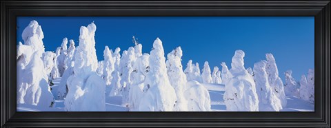 Framed Snow Covered Trees, Zao Yamagata Japan Print