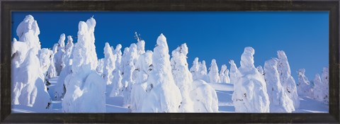 Framed Snow Covered Trees, Zao Yamagata Japan Print