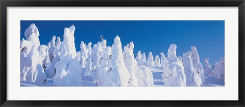 Framed Snow Covered Trees, Zao Yamagata Japan Print