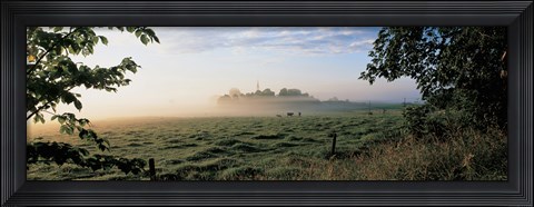 Framed Field with cows, Lovo Uppland Sweden Print