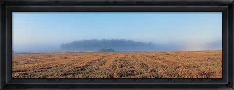 Framed Mist in Lovo Uppland Sweden Print