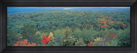 Framed Ontario Canada Print