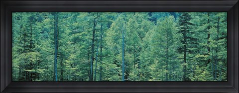 Framed Kamikouchi Nagano Japan Print