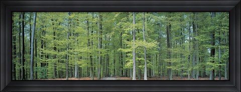 Framed Bruxelles Belgium Print