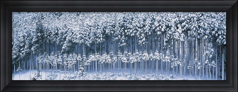 Framed Keihoku-Cho Kyoto Japan Print