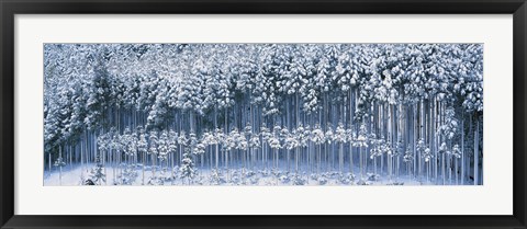 Framed Keihoku-Cho Kyoto Japan Print
