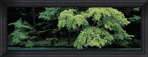 Framed Kamikochi Nagano Japan Print