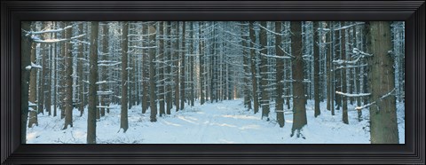 Framed Germany Print