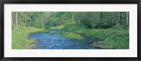 Framed Nagase River Bandai Kogen Fukushima Japan Print