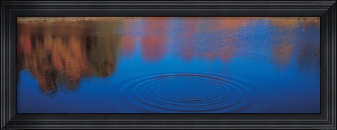 Framed Trees Reflecting in the Water, Laurentide, Quebec, Canada Print
