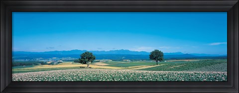 Framed Potato field Furano Hokkaido Japan Print