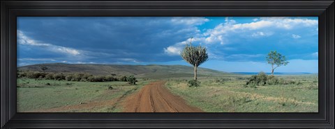 Framed Masai Mara Game Reserve Kenya Print