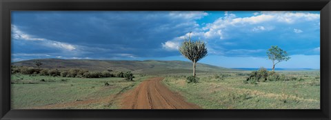 Framed Masai Mara Game Reserve Kenya Print