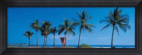 Framed Palm trees Oahu HI USA Print